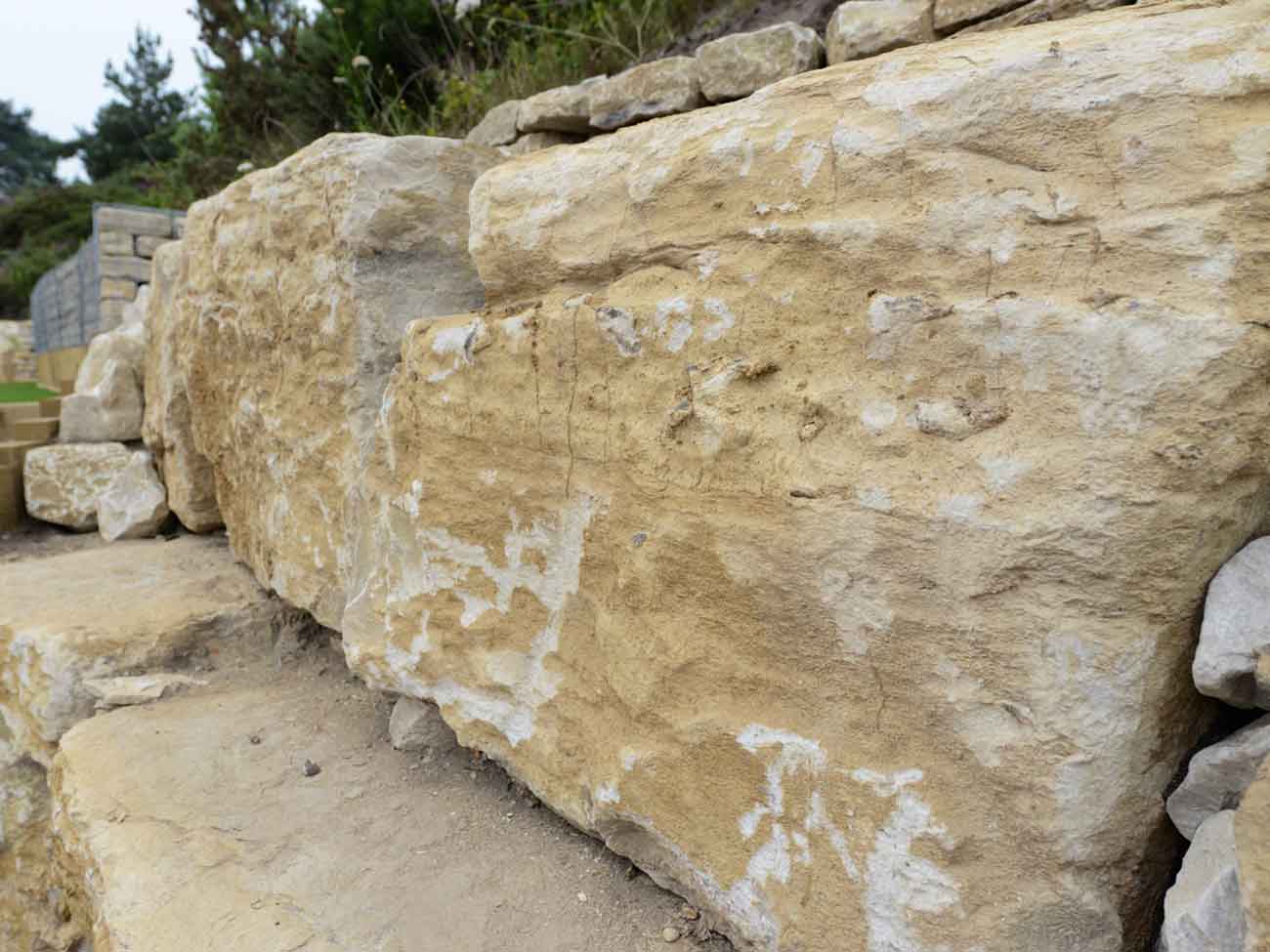 jenis limestone